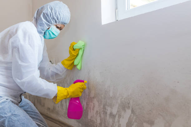 Best Mold Odor Removal Services  in Polk City, FL